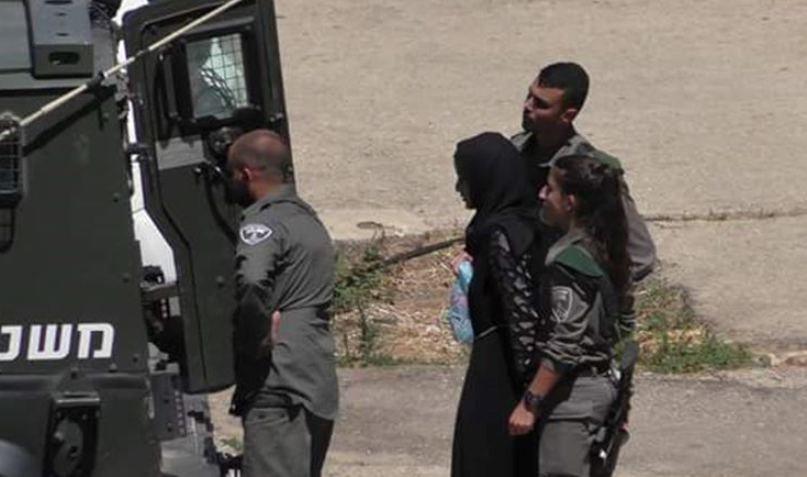 قوات الاحتلال تعتقل زوجة مطارد وموظف بهيئة مقاومة الجدار في بيت لحم